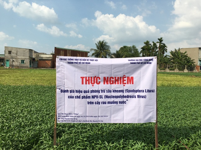 thunghiem