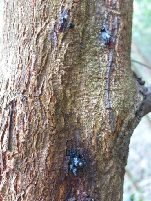 image 20201210103659 3