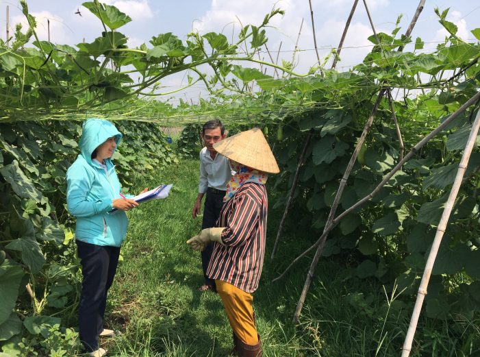 Kiểm tra và hướng dẫn nông dân sử dụng thuốc bảo vệ thực vật tại xã Tân Thới Nhì, huyện Hóc Môn